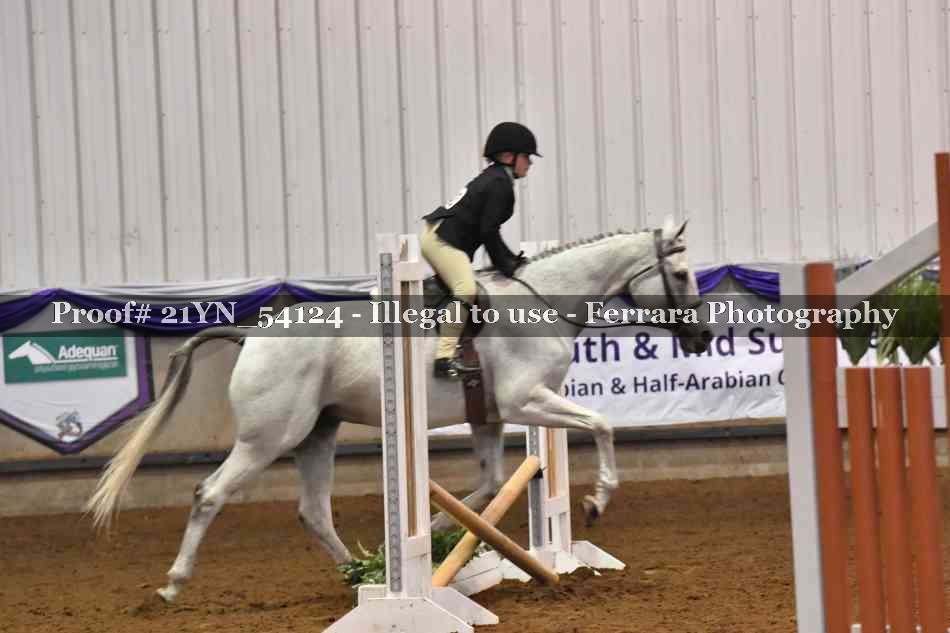 Proof Number 21YN_54124