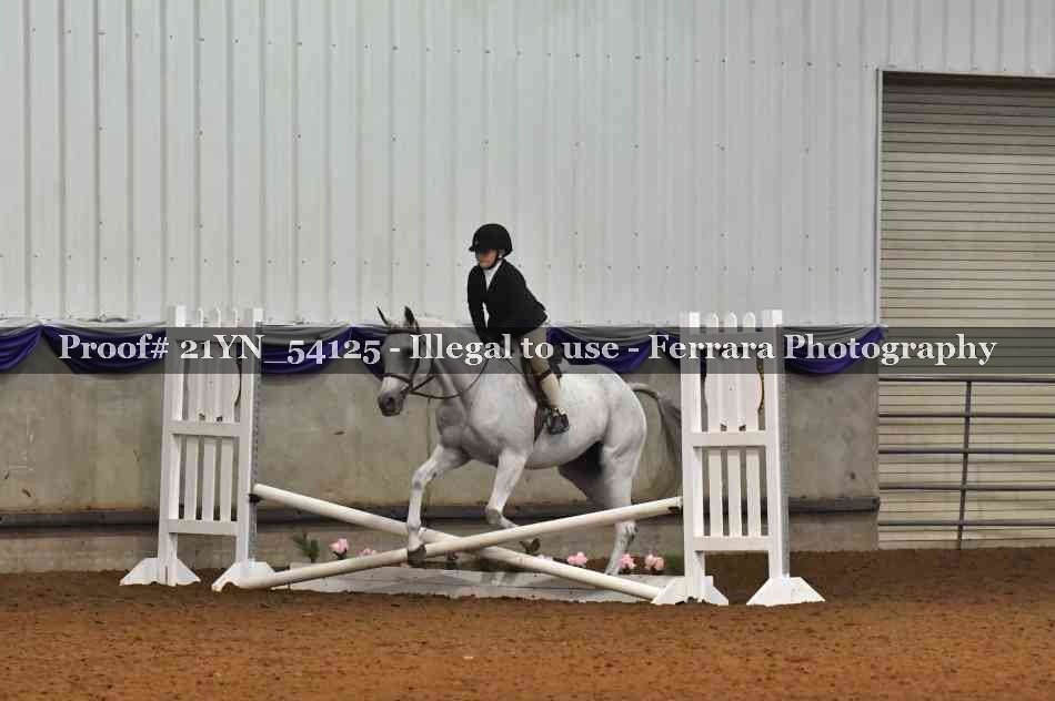 Proof Number 21YN_54125