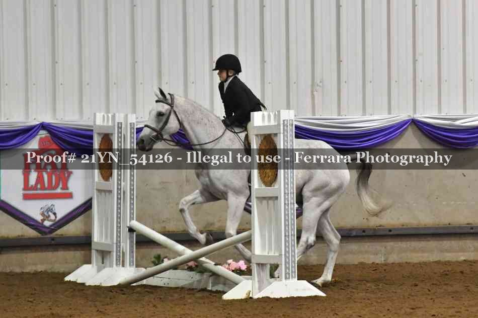 Proof Number 21YN_54126