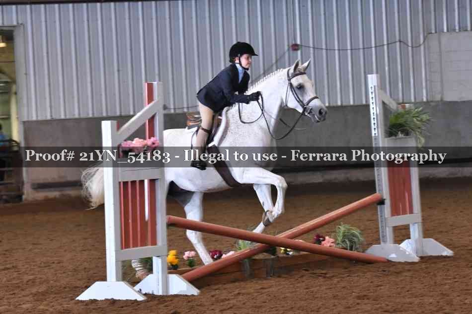 Proof Number 21YN_54183