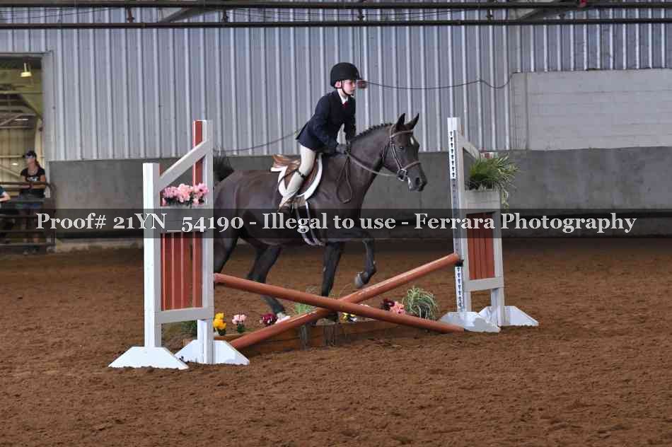 Proof Number 21YN_54190