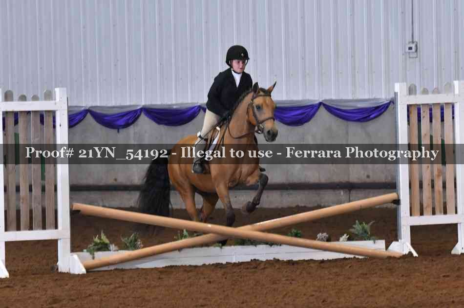 Proof Number 21YN_54192