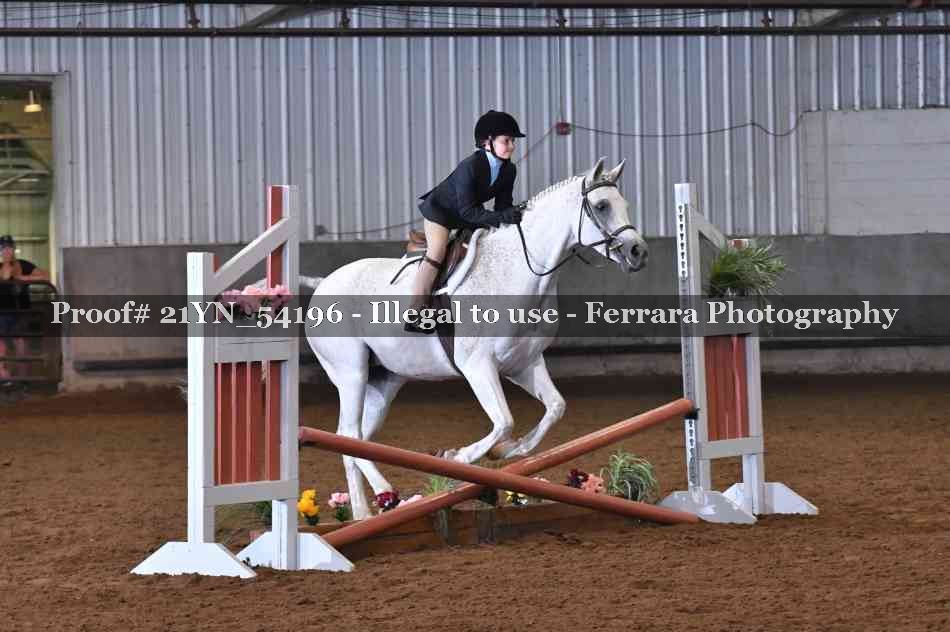 Proof Number 21YN_54196