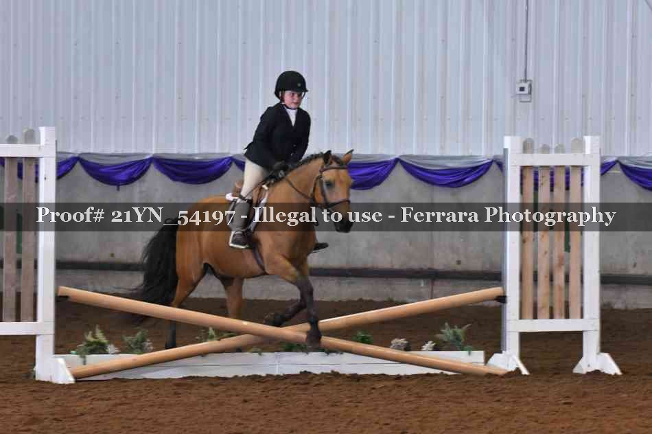 Proof Number 21YN_54197