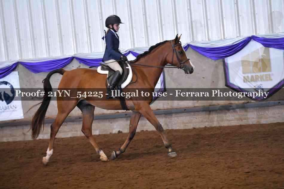 Proof Number 21YN_54225