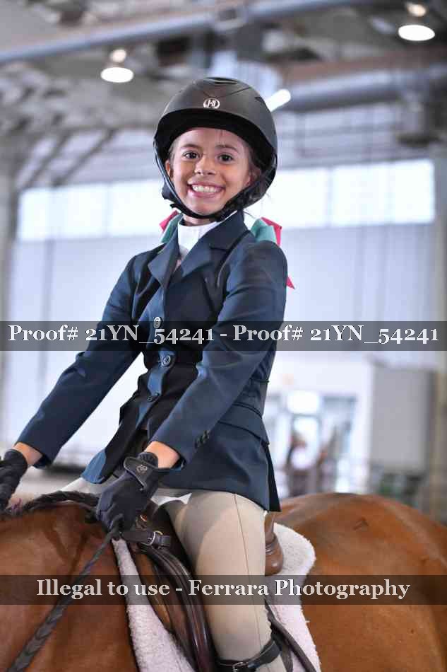 Proof Number 21YN_54241