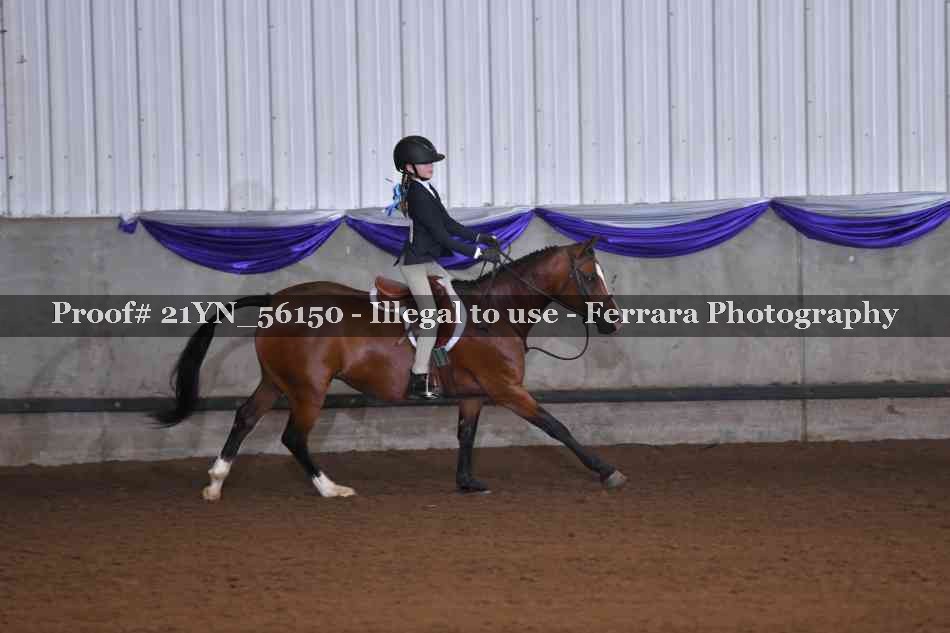 Proof Number 21YN_56150