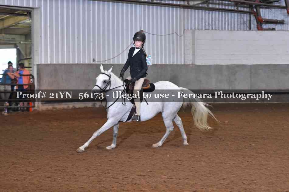 Proof Number 21YN_56173