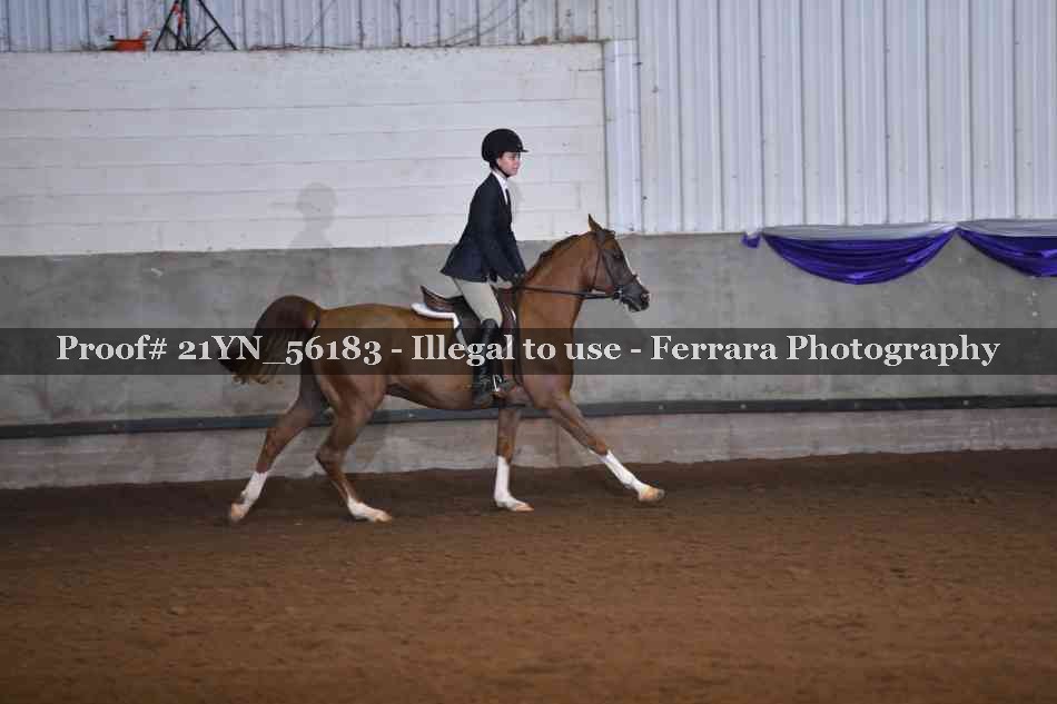 Proof Number 21YN_56183