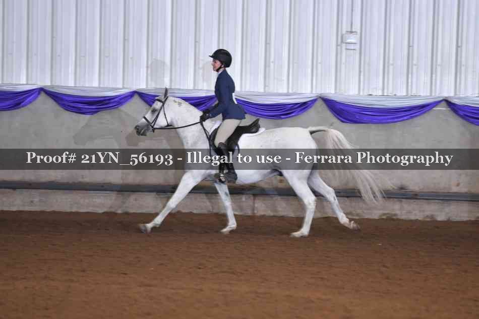 Proof Number 21YN_56193