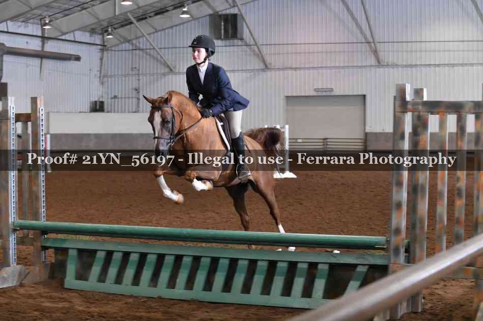 Proof Number 21YN_56197