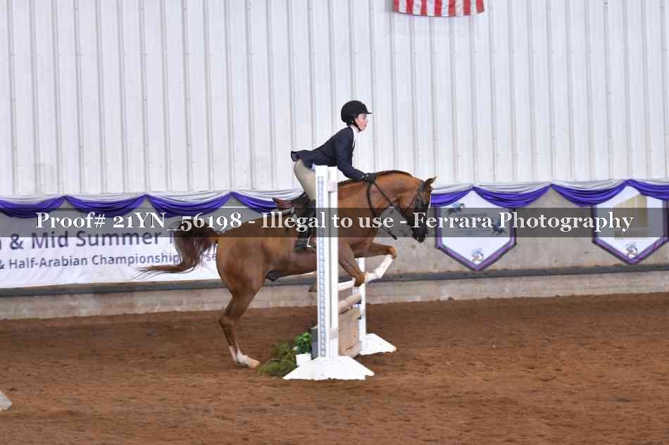 Proof Number 21YN_56198