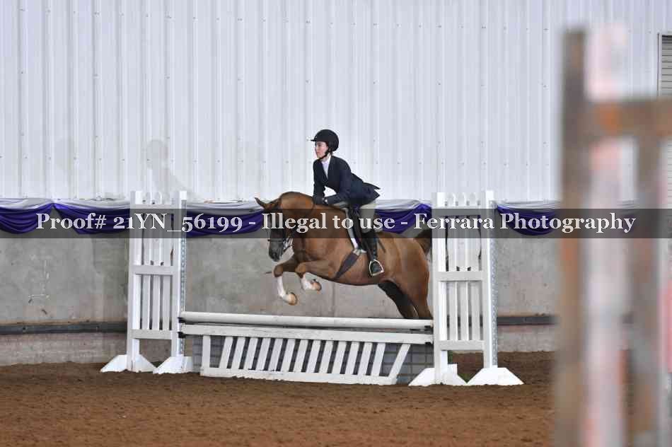 Proof Number 21YN_56199