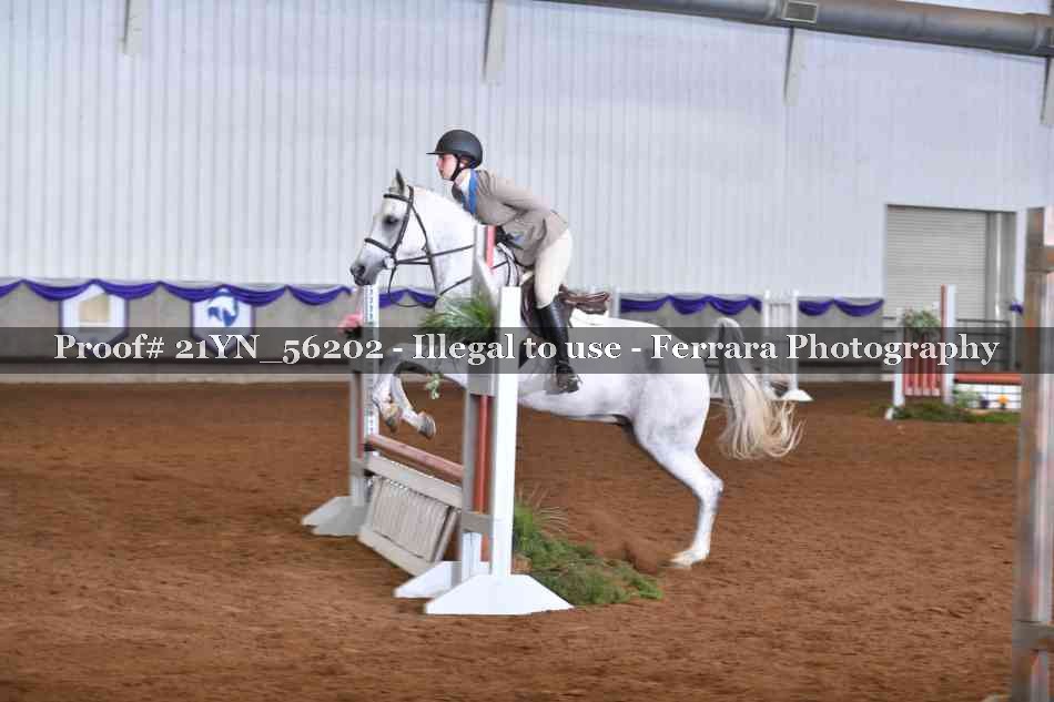 Proof Number 21YN_56202