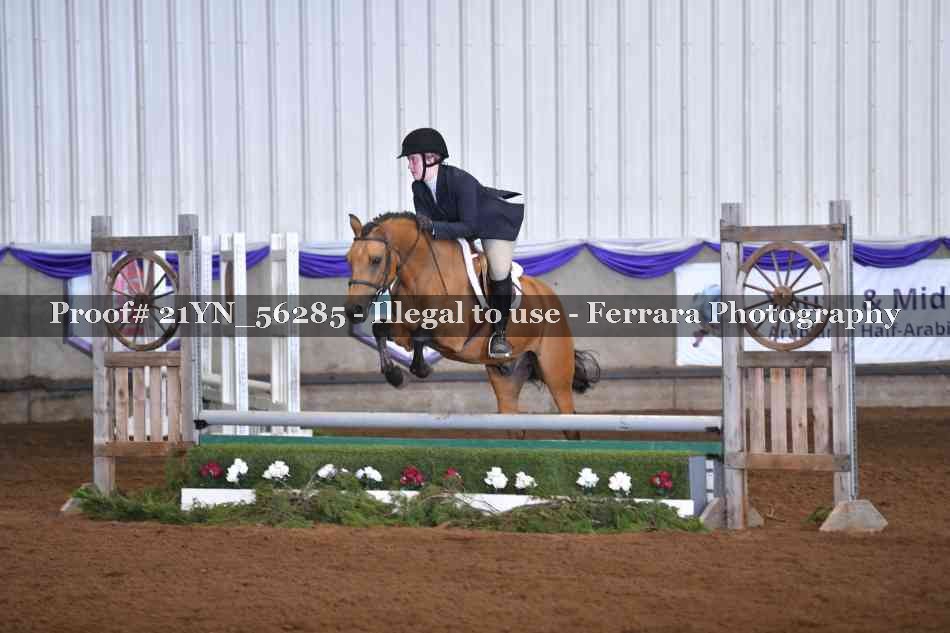 Proof Number 21YN_56285