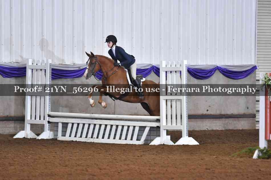 Proof Number 21YN_56296