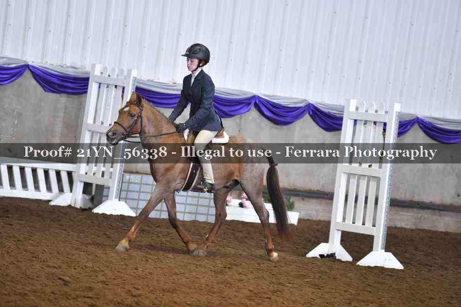 Proof Number 21YN_56338