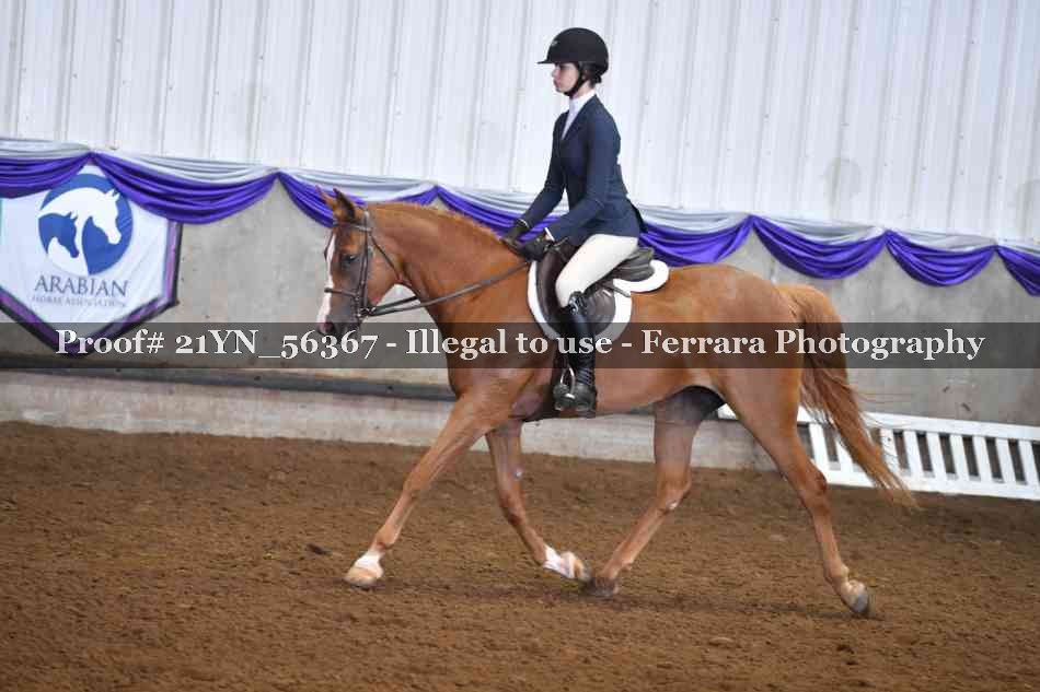 Proof Number 21YN_56367