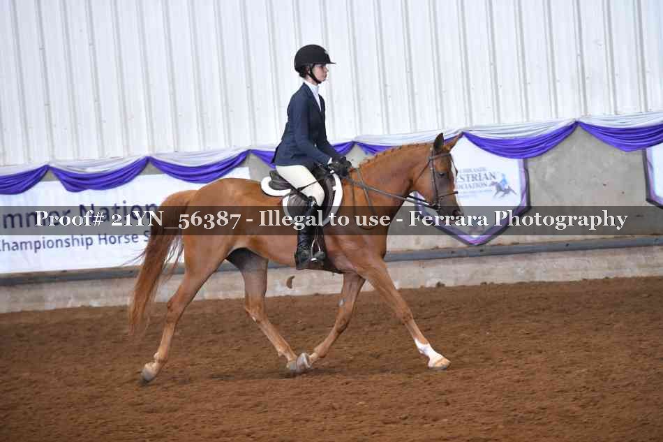 Proof Number 21YN_56387