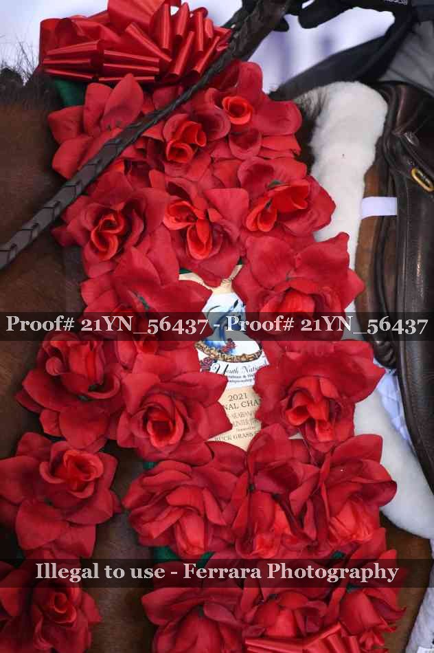 Proof Number 21YN_56437
