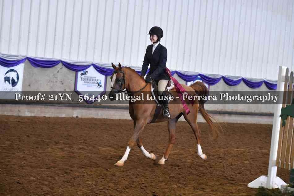 Proof Number 21YN_56440