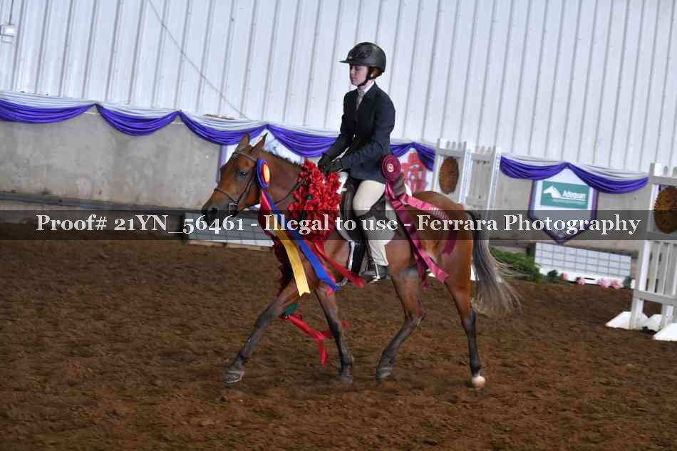 Proof Number 21YN_56461
