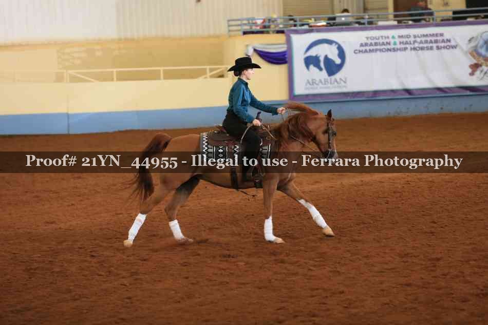 Proof Number 21YN_44955