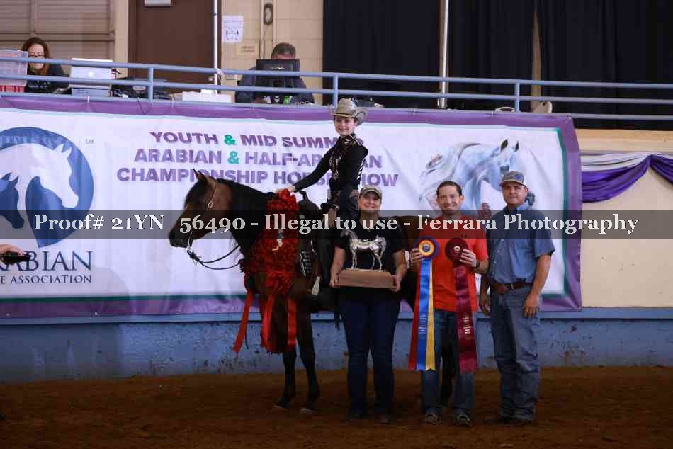 Proof Number 21YN_56490