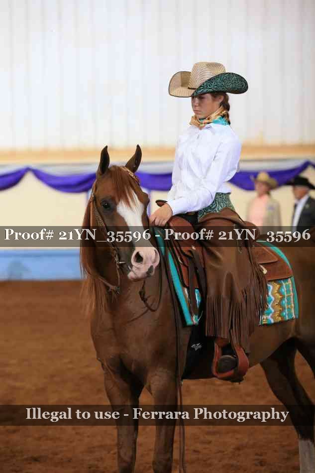 Proof Number 21YN_35596