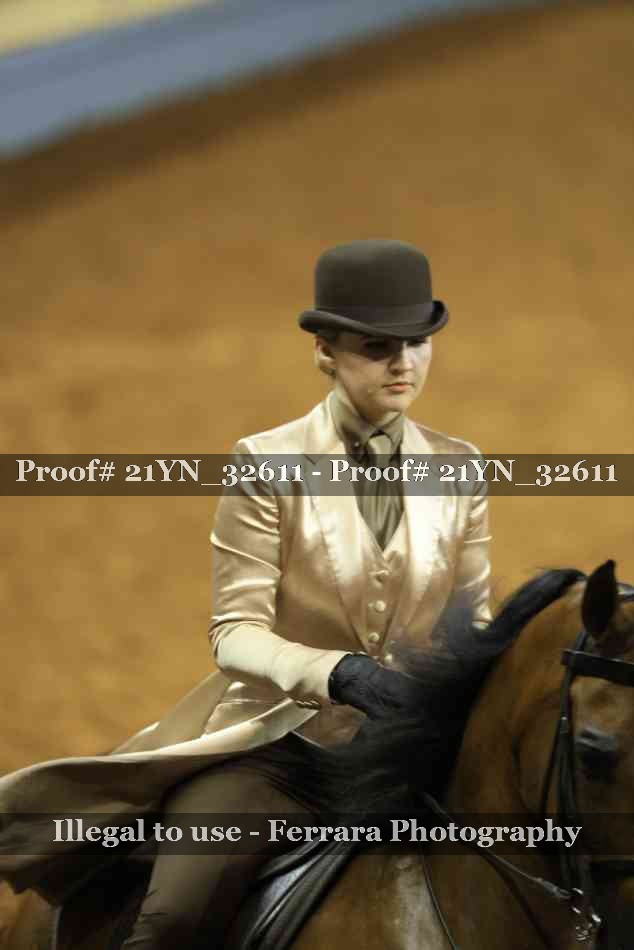 Proof Number 21YN_32611