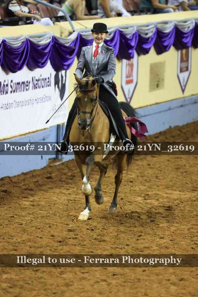 Proof Number 21YN_32619