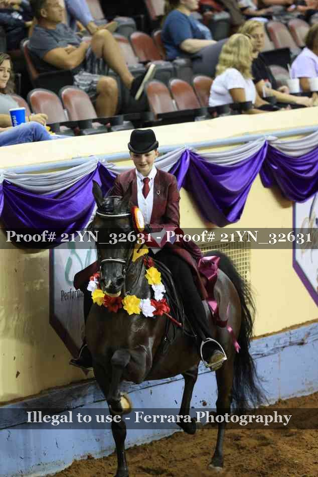 Proof Number 21YN_32631