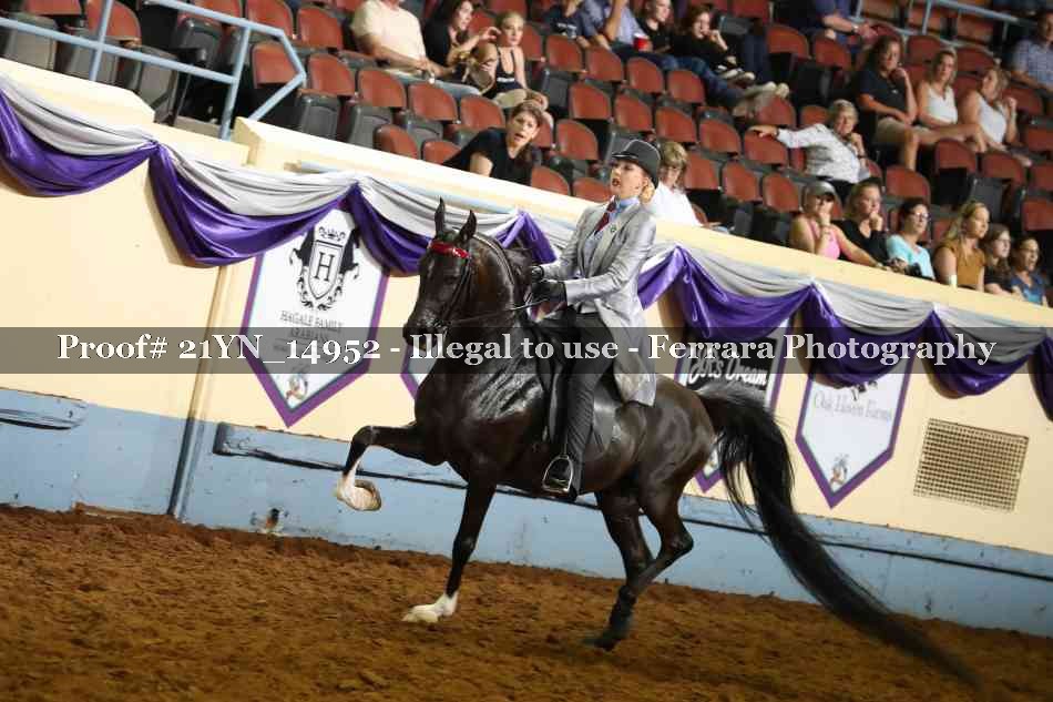 Proof Number 21YN_14952