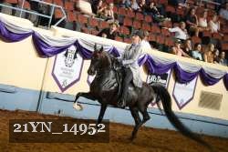 21YN_14952 thumbnail