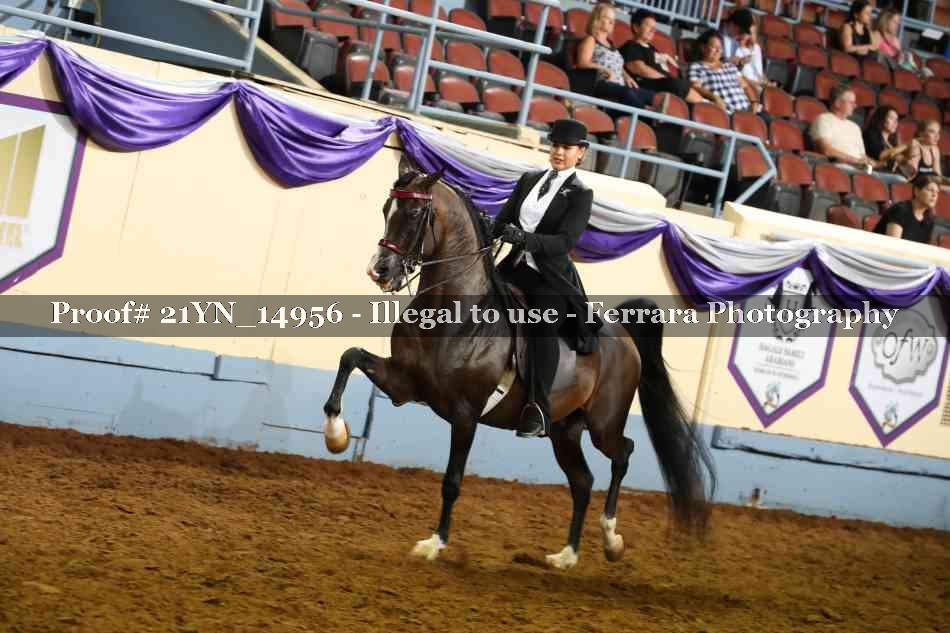 Proof Number 21YN_14956