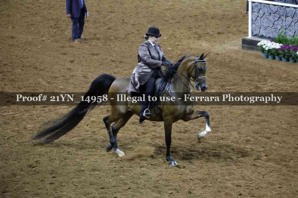 Proof Number 21YN_14958