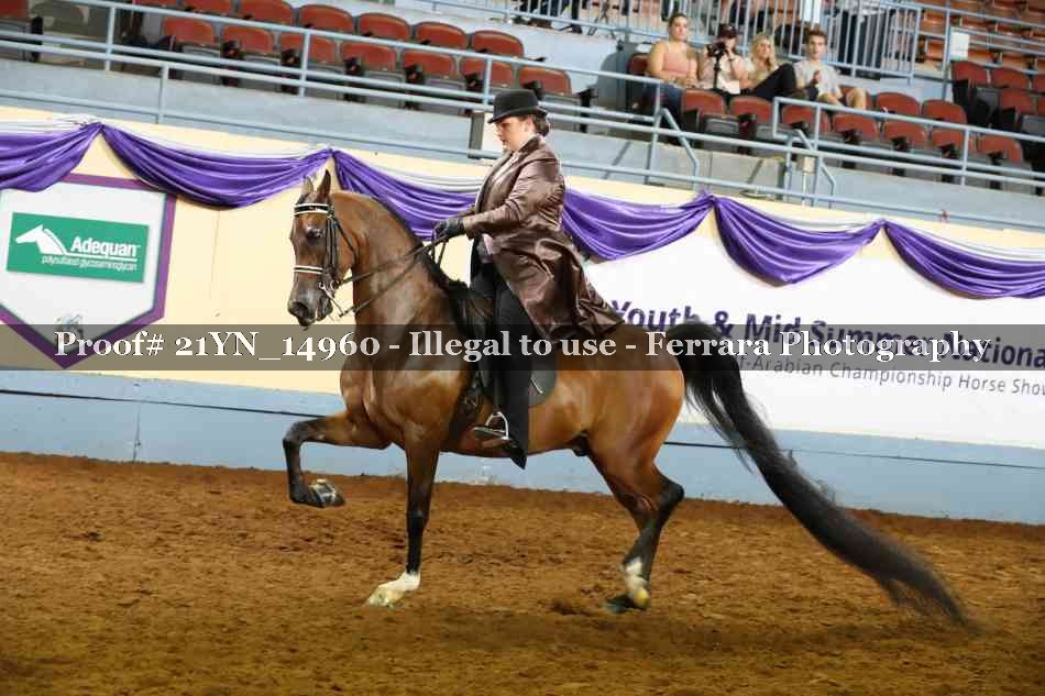 Proof Number 21YN_14960