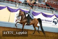 21YN_14962 thumbnail