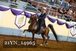 21YN_14965 thumbnail