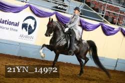 21YN_14972 thumbnail