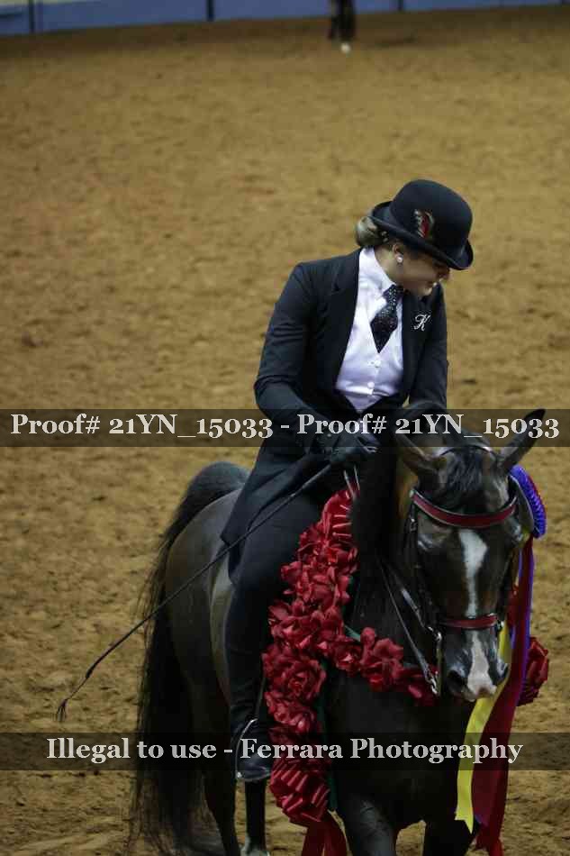 Proof Number 21YN_15033