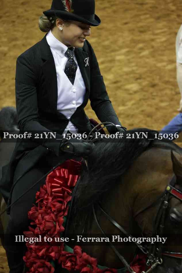 Proof Number 21YN_15036