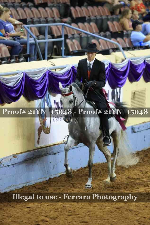 Proof Number 21YN_15048