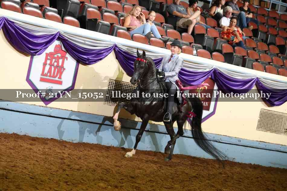 Proof Number 21YN_15052