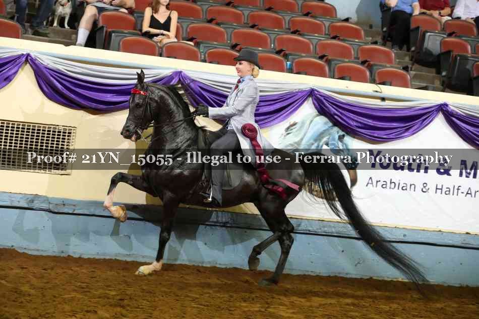 Proof Number 21YN_15055