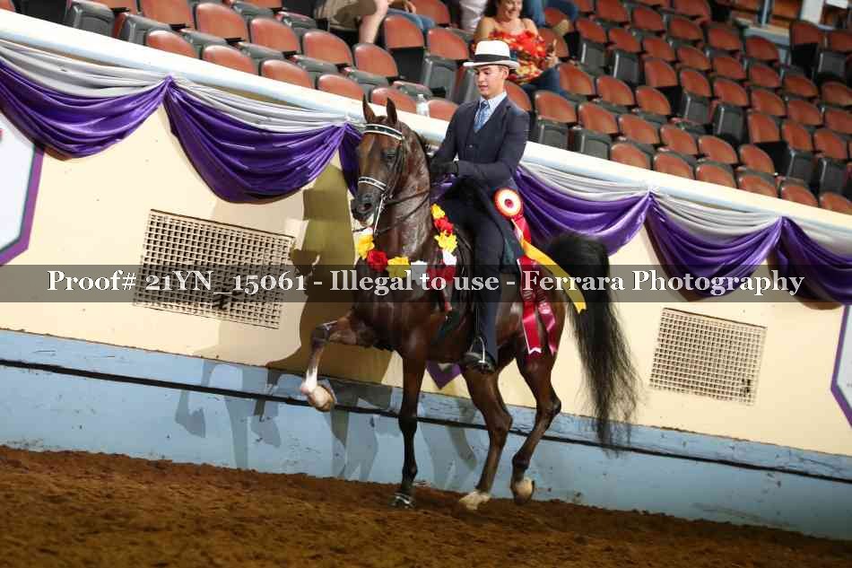 Proof Number 21YN_15061