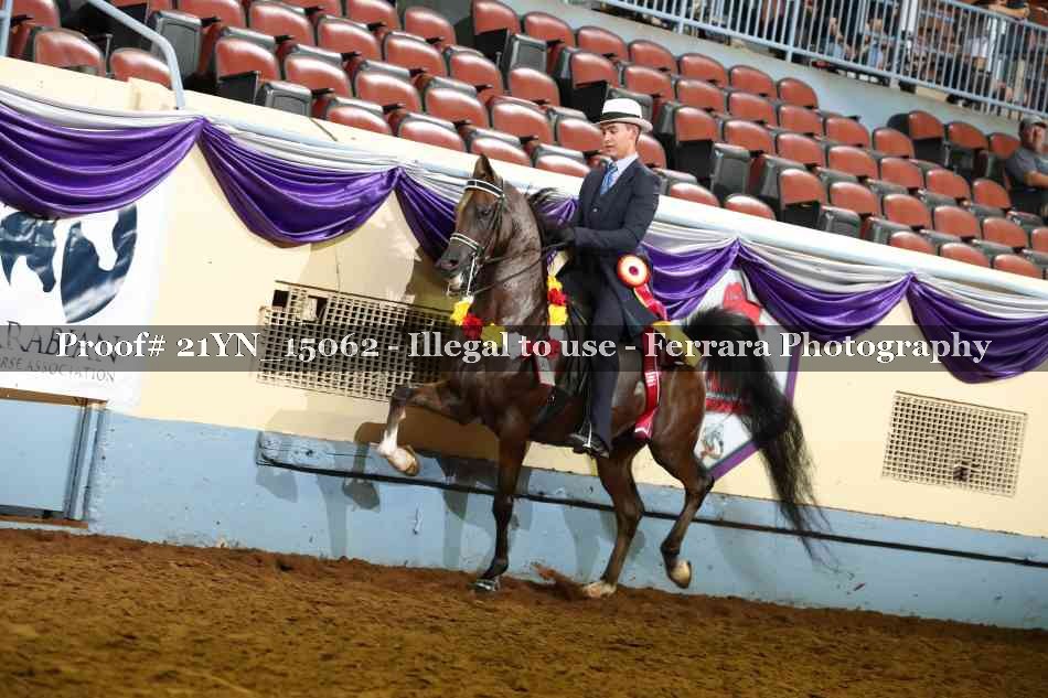 Proof Number 21YN_15062