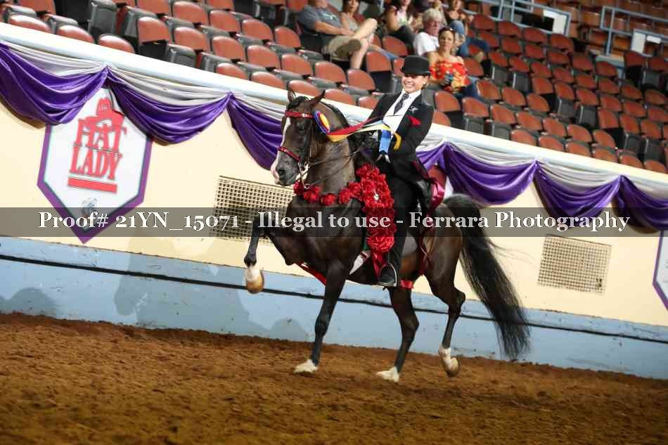 Proof Number 21YN_15071