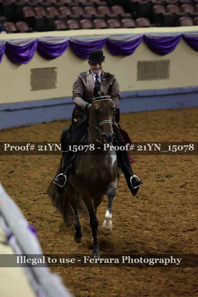 Proof Number 21YN_15078