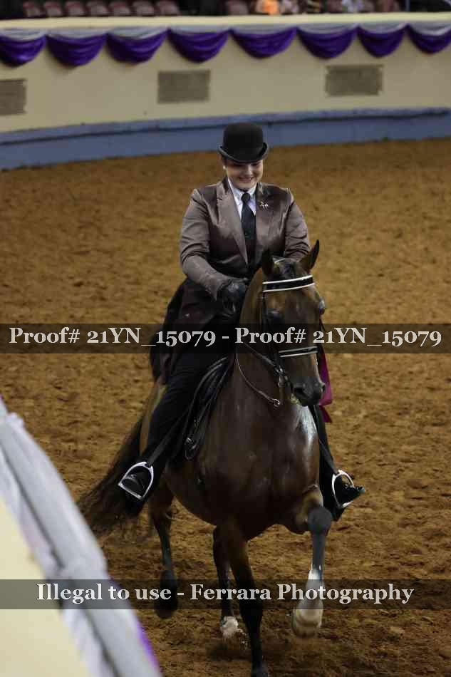 Proof Number 21YN_15079